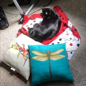 Meet your Posher, Victoria